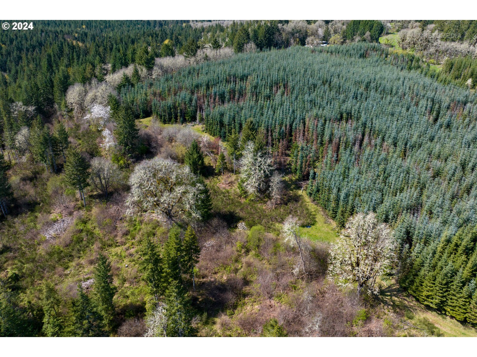 55360 Southwest Sain Creek Road Gaston, OR 97119 - Photo 10 of 47 Gallery Image 10