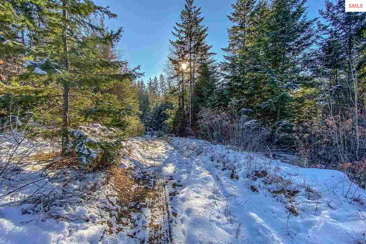 1890 Highlands Road Sandpoint, ID 83864 - Photo 7 of 16