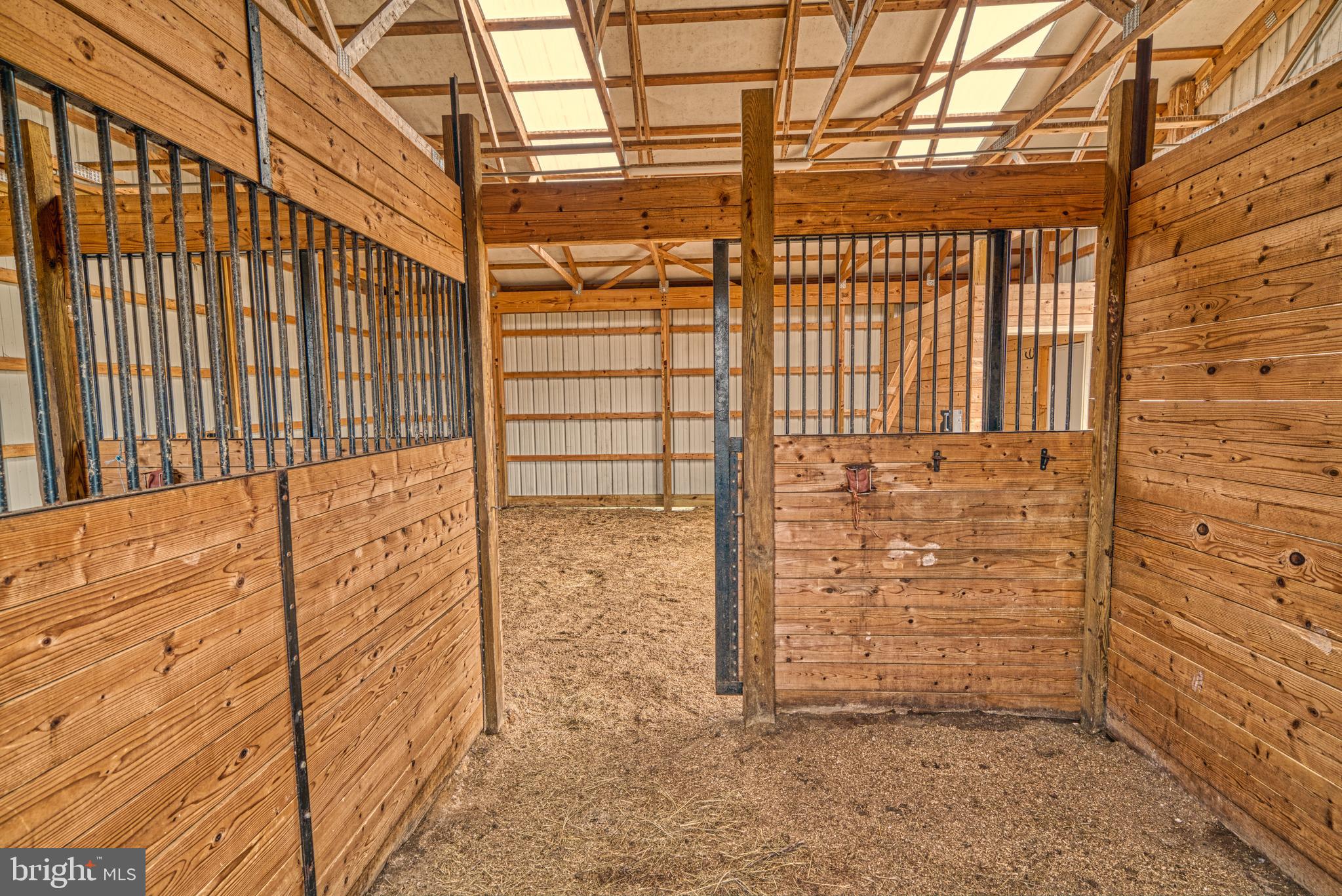 309 Duhamel Corner Road Marydel, MD 21649 - Photo 24 of 59 Large Stalls