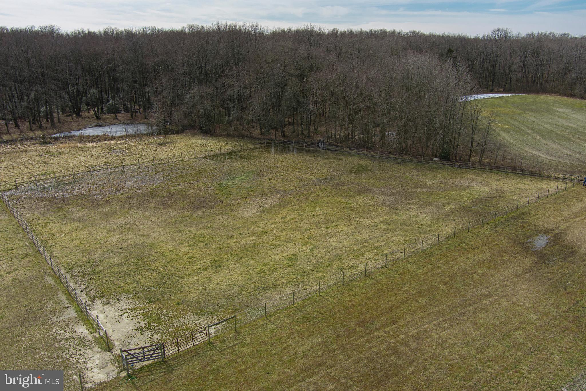 309 Duhamel Corner Road Marydel, MD 21649 - Photo 36 of 59 Aerial of Pasture 3