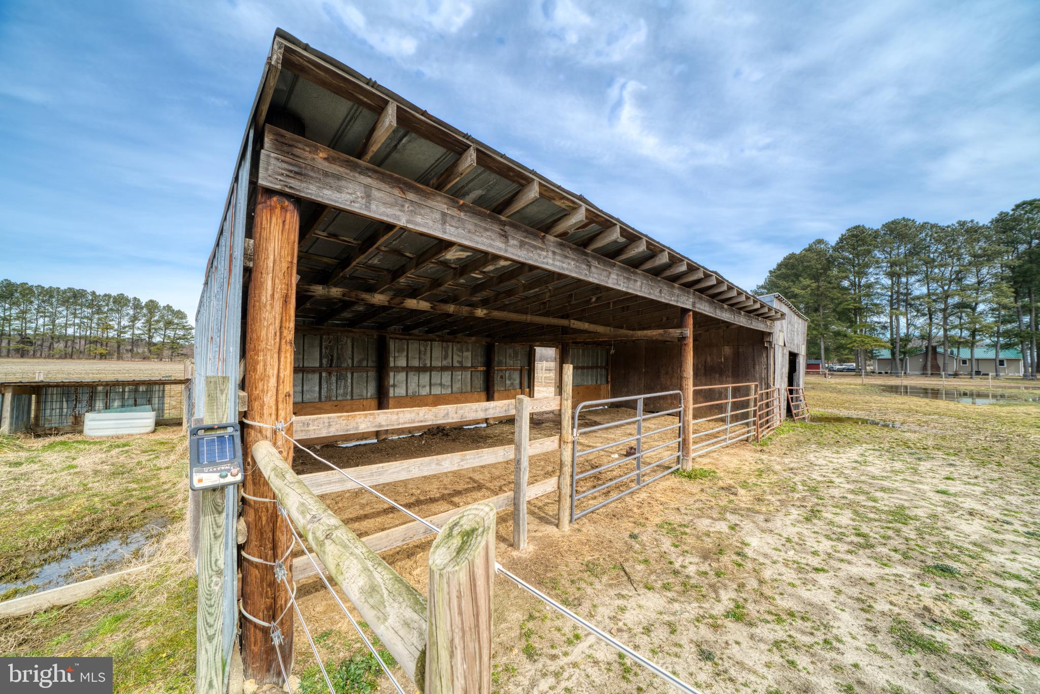 309 Duhamel Corner Road Marydel, MD 21649 - Photo 40 of 59 Pasture 1 Run-In