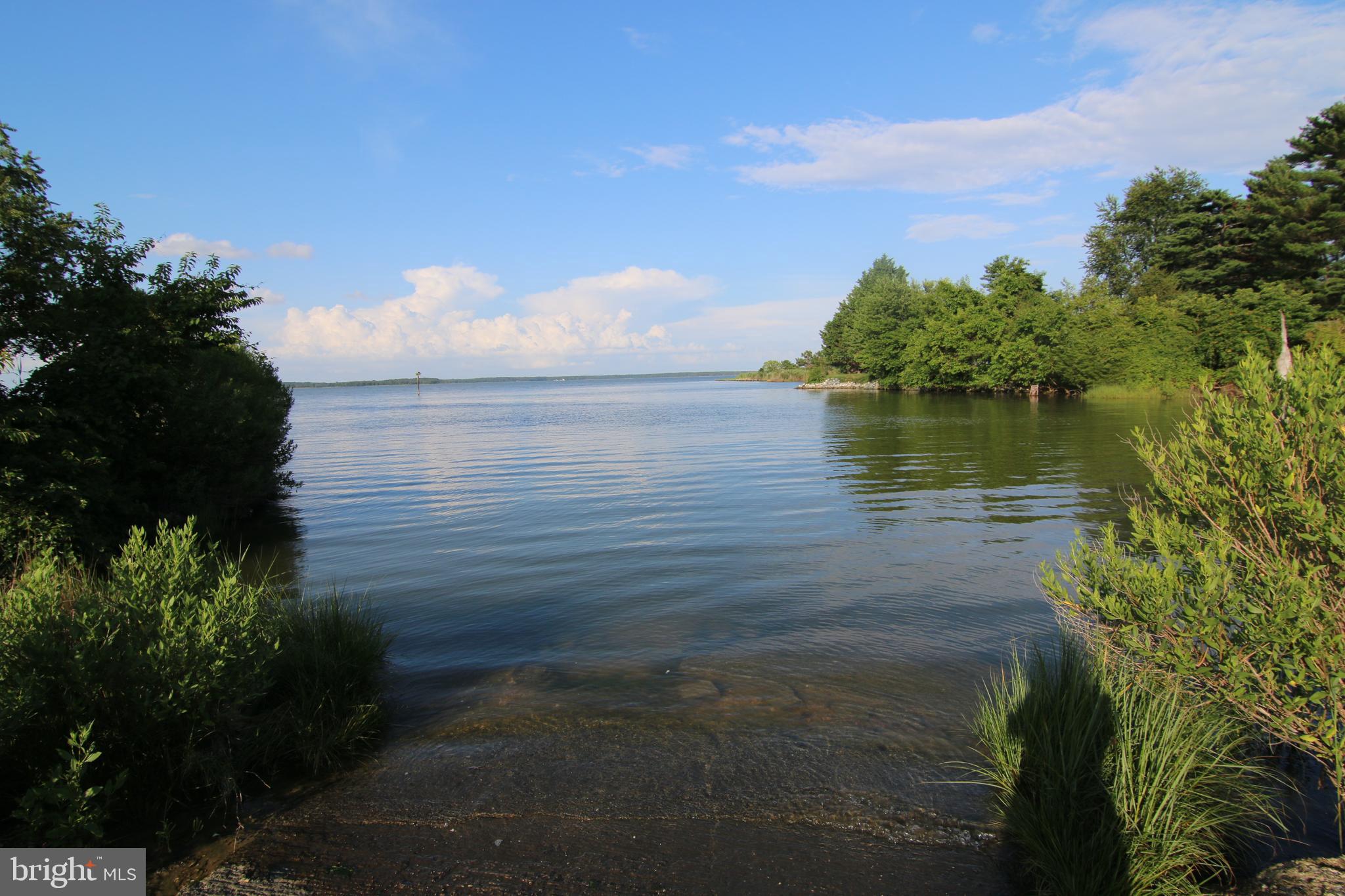 1342 Calvert Road Chester, MD 21619 - Photo 27 of 29 a view of a lake from a yard