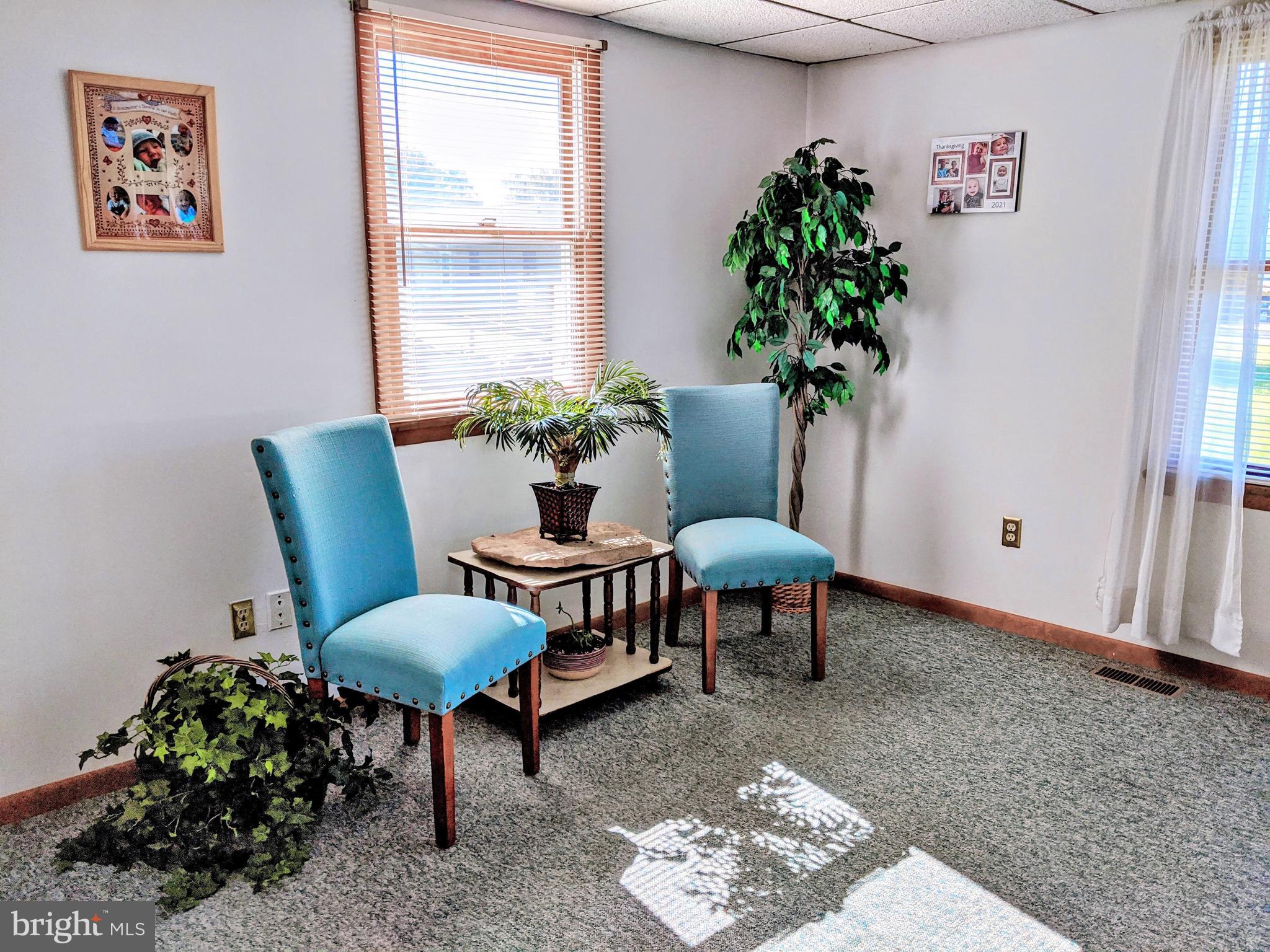1342 Calvert Road Chester, MD 21619 - Photo 8 of 29 a living room with furniture and a potted plant