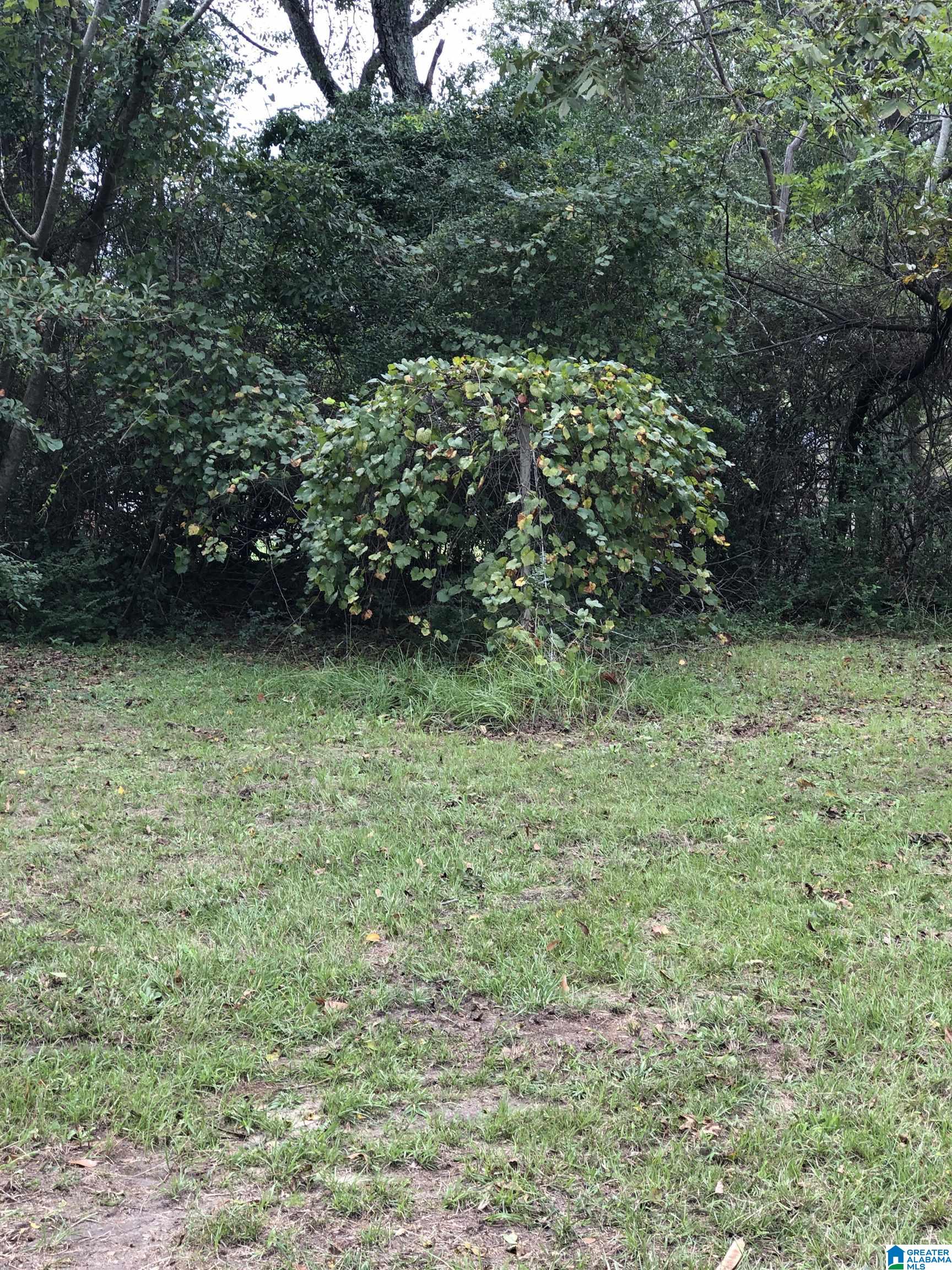 200 Friendship Road Clanton, AL 35045 - Photo 30 of 30