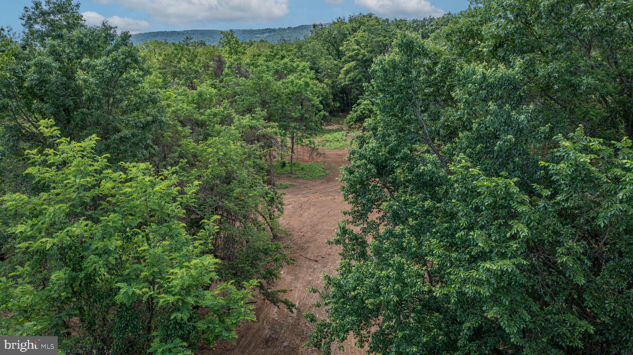 0 Austin Grove Road Bluemont, VA 20135 - Photo 11 of 13