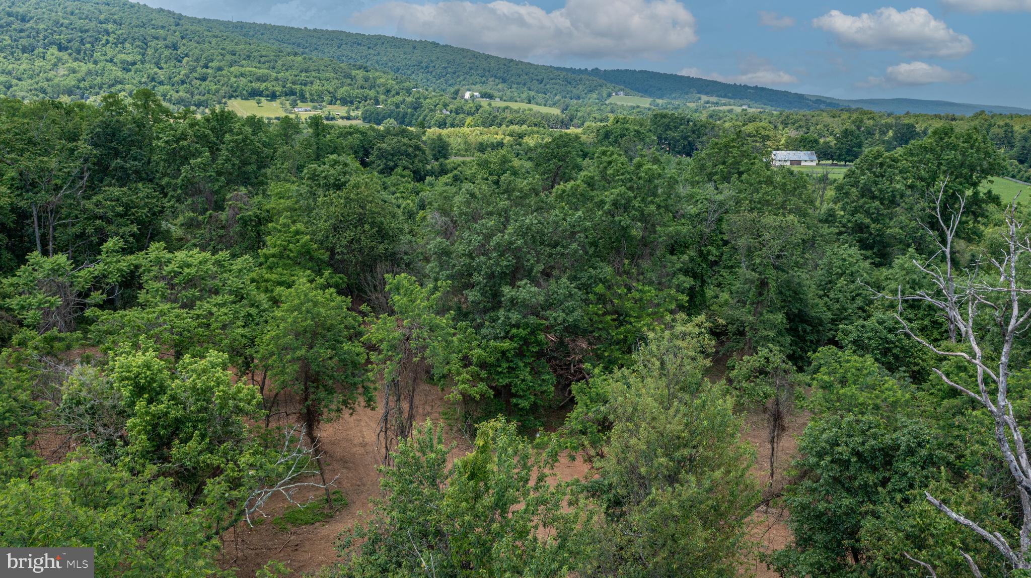 0 Austin Grove Road Bluemont, VA 20135 - Photo 12 of 13