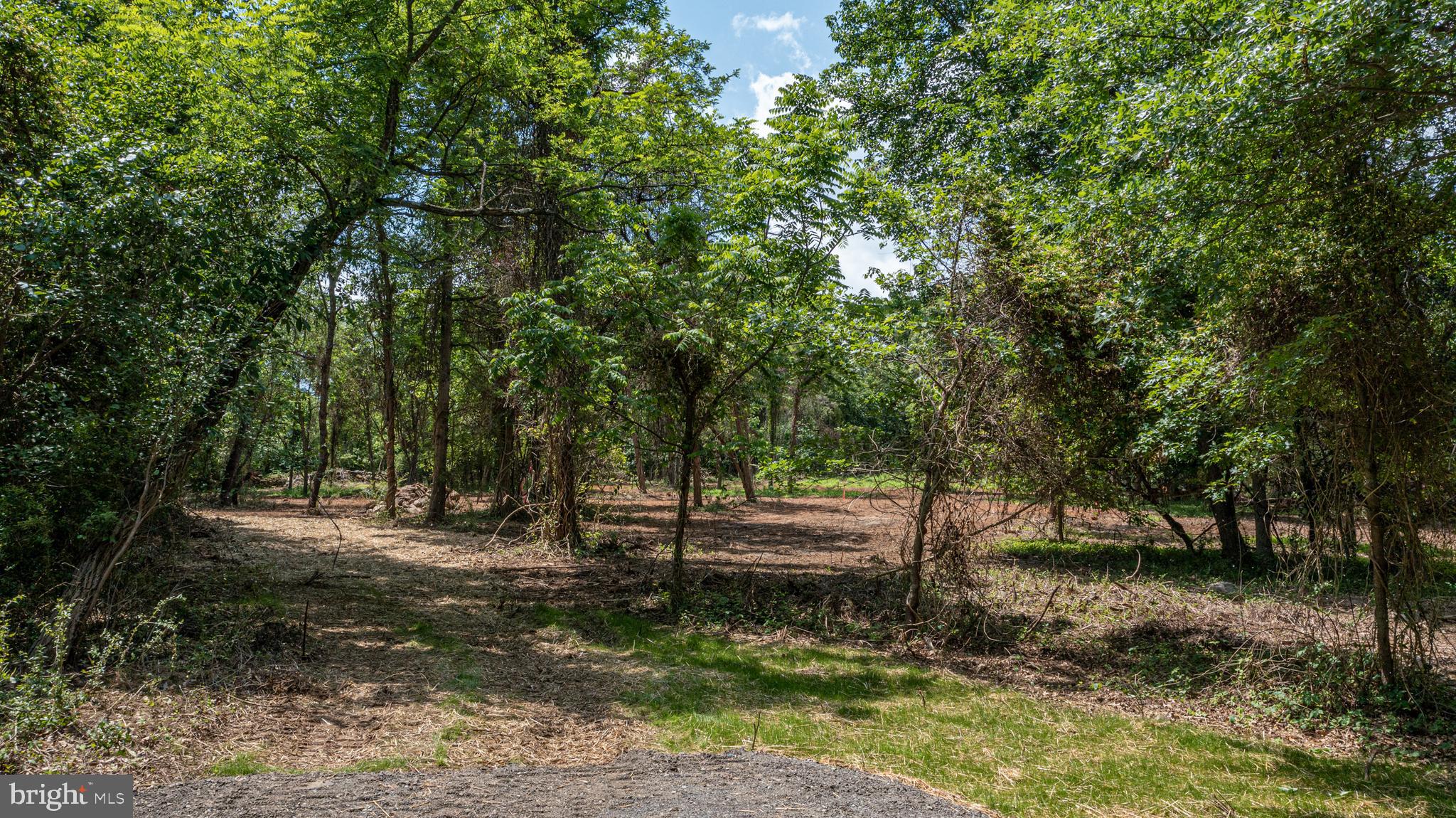 0 Austin Grove Road Bluemont, VA 20135 - Photo 4 of 13