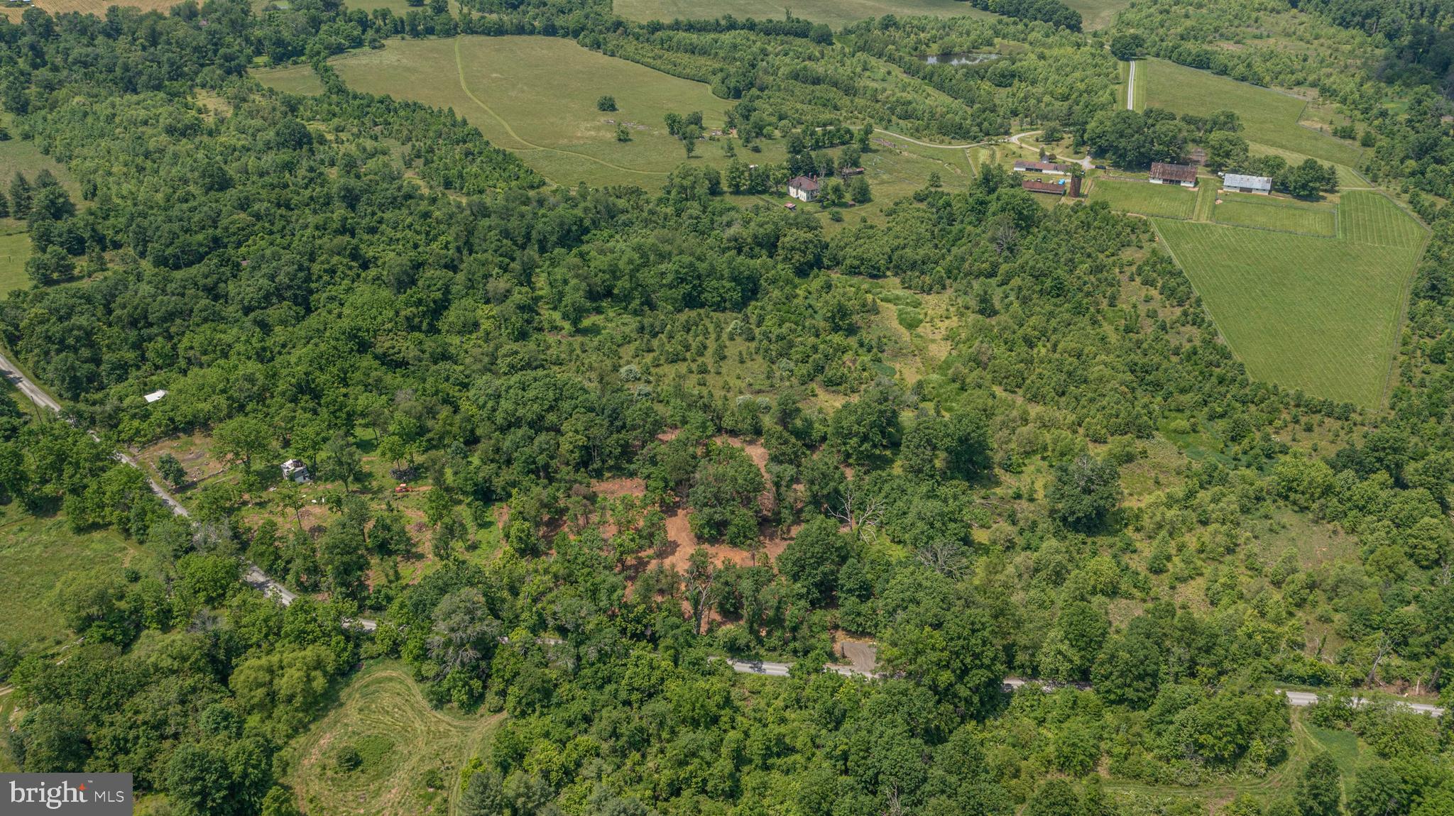 0 Austin Grove Road Bluemont, VA 20135 - Photo 5 of 13