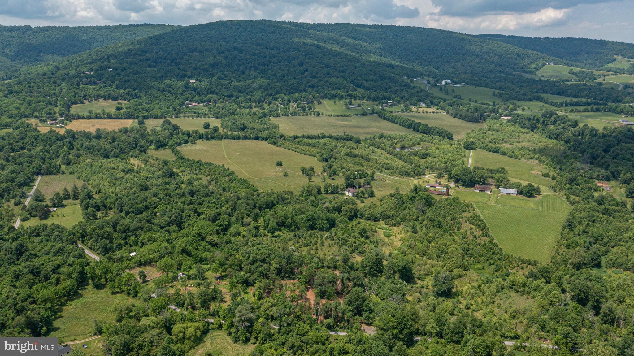 0 Austin Grove Road Bluemont, VA 20135 - Photo 6 of 13
