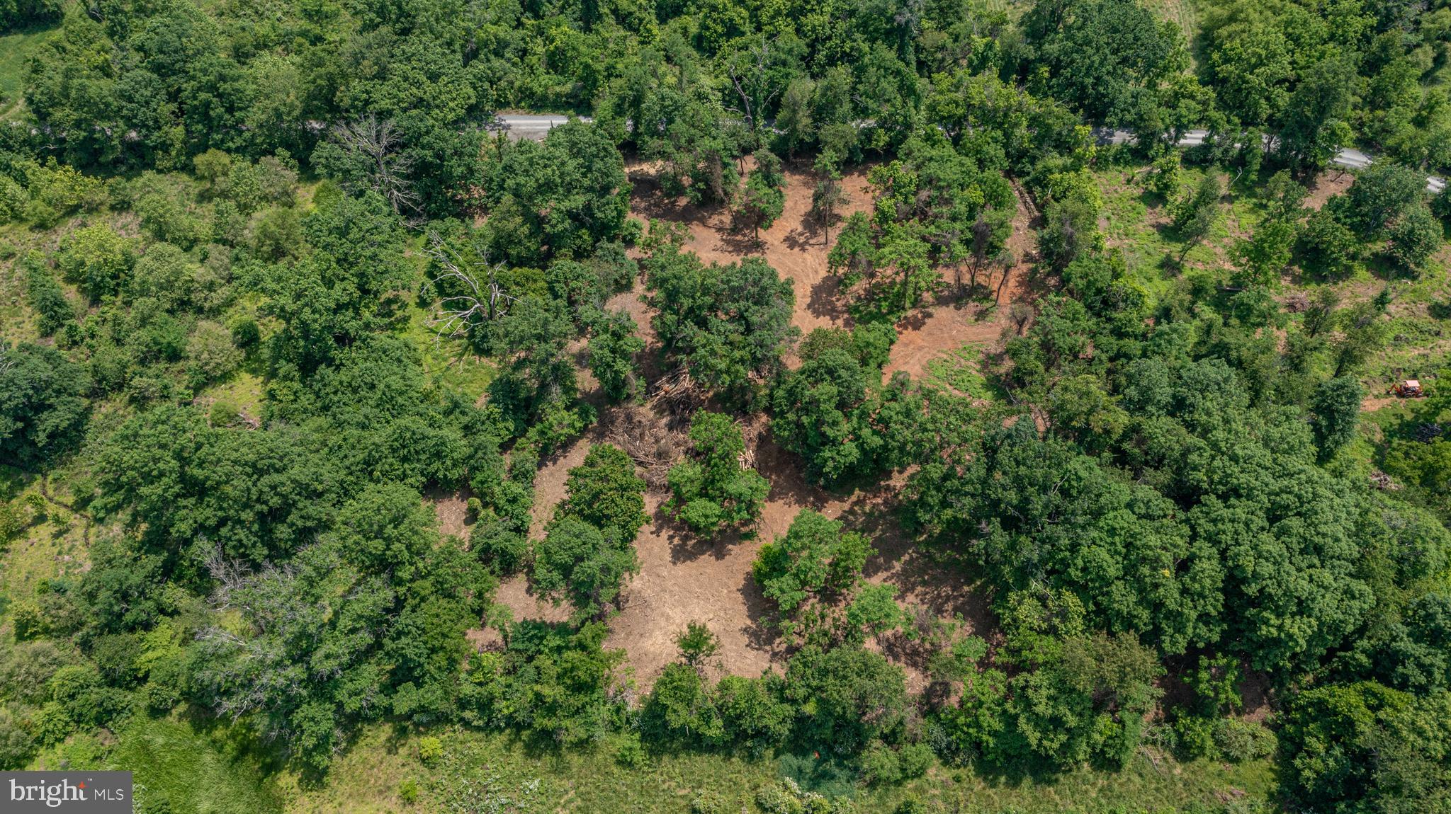 0 Austin Grove Road Bluemont, VA 20135 - Photo 9 of 13