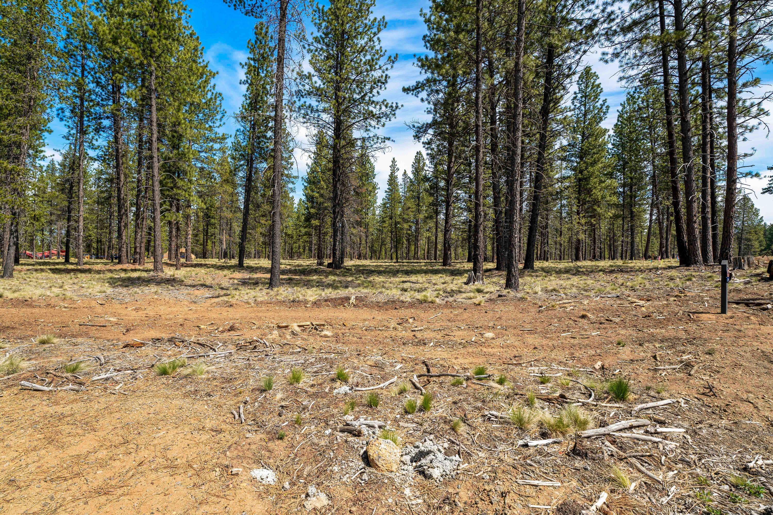 Lava Springs Loop Bend, Unit 506 Bend, OR 97707 - Photo 2 of 27 DSC07224