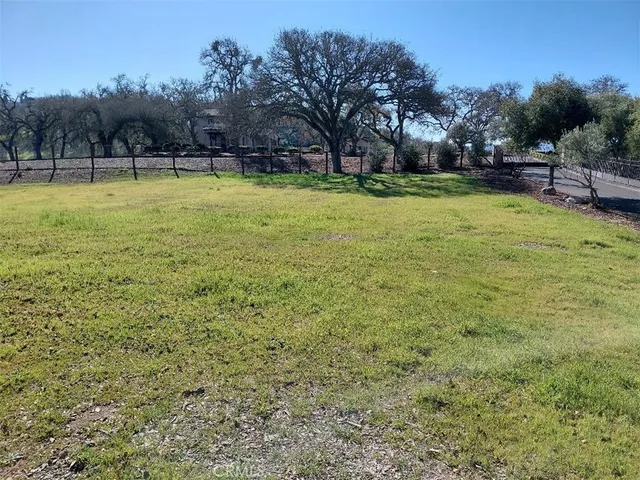 a view of a swimming pool with a yard and trees