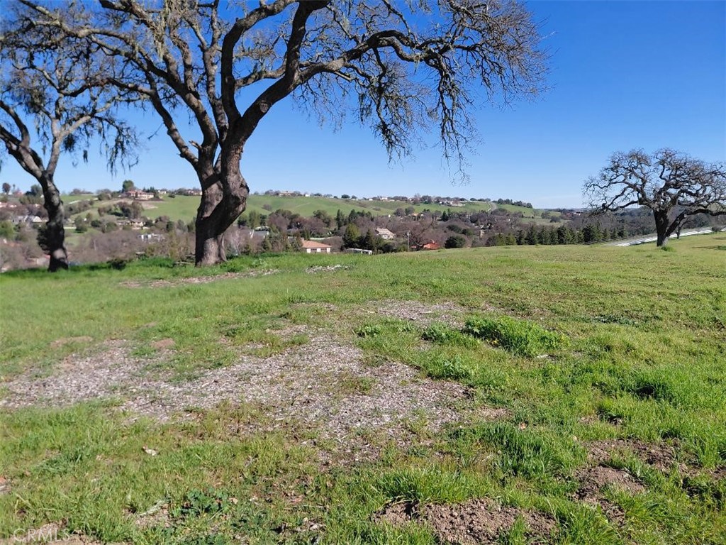 1920 Fire Rock Loop Templeton, CA 93465 - Photo 2 of 20 a view of a yard with a tree
