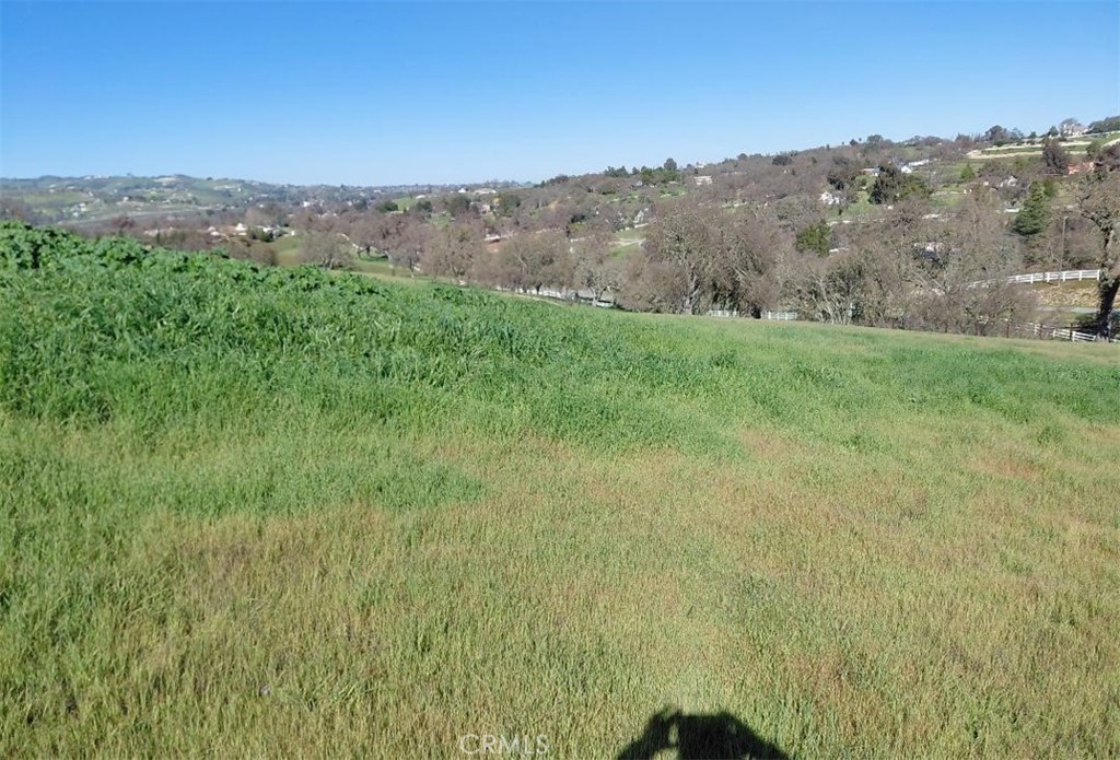 1920 Fire Rock Loop Templeton, CA 93465 - Photo 4 of 16