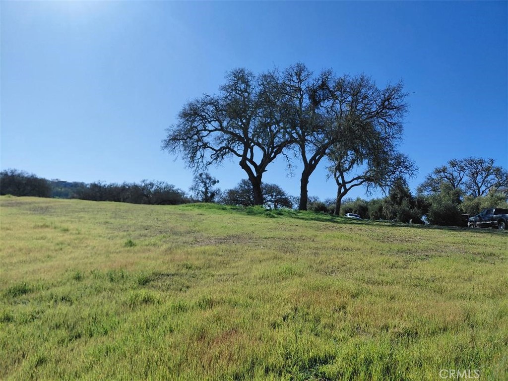 1920 Fire Rock Loop Templeton, CA 93465 - Photo 4 of 20 a view of outdoor space and yard