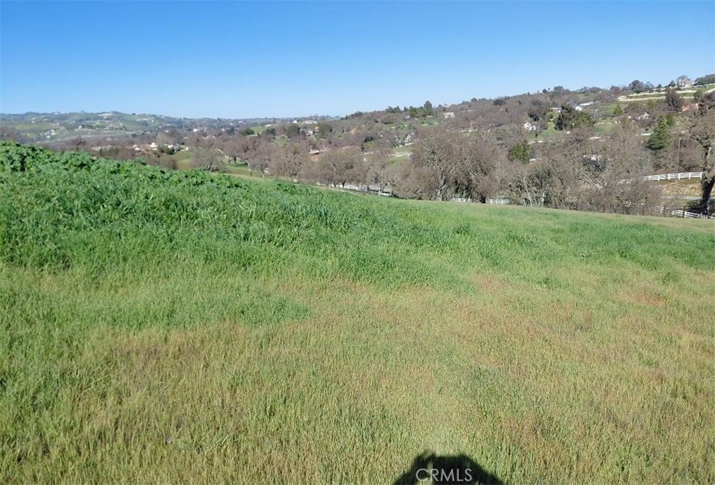 1920 Fire Rock Loop Templeton, CA 93465 - Photo 5 of 20 a view of a lush green mountain in the background