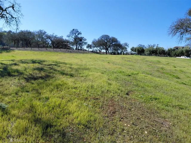 a view of a field with an trees