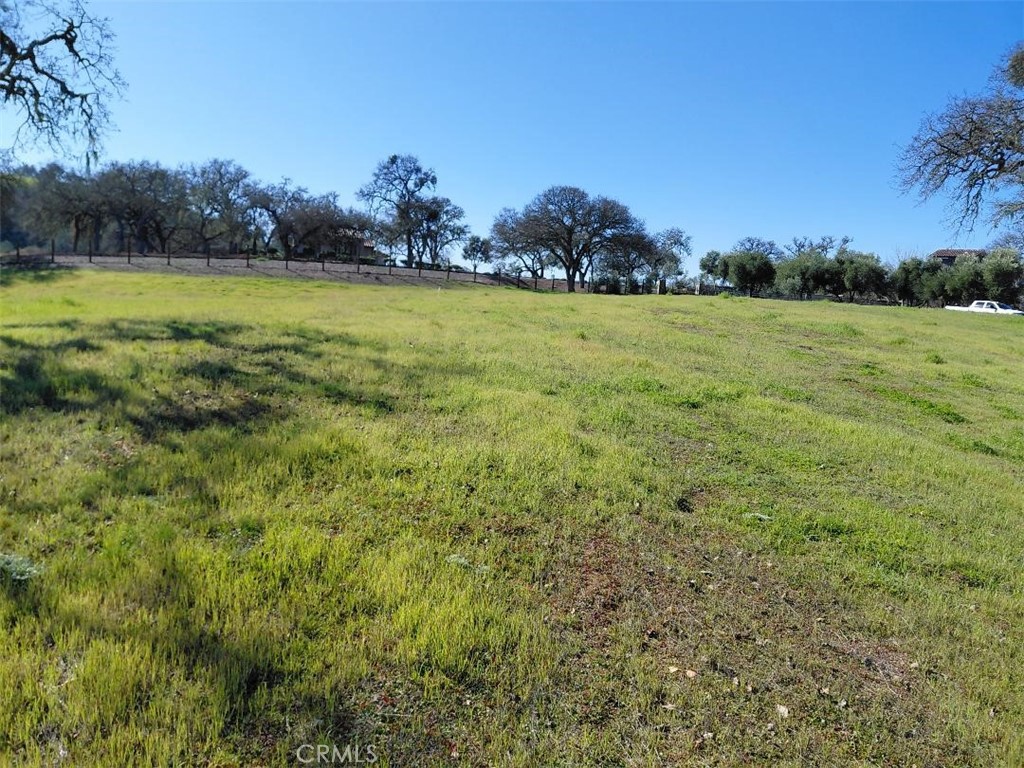 1920 Fire Rock Loop Templeton, CA 93465 - Photo 7 of 20 a view of a field with an trees