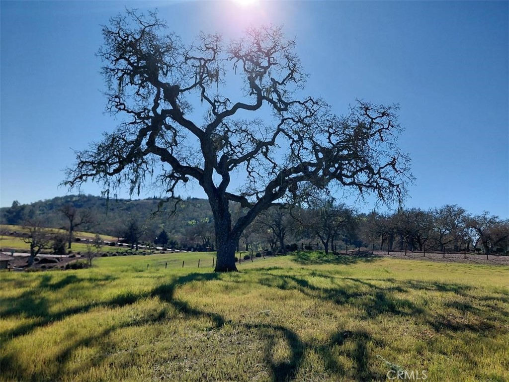 1920 Fire Rock Loop Templeton, CA 93465 - Photo 8 of 16