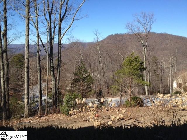 1016 Mountain Summit Road Travelers Rest, SC 29690 - Photo 21 of 26 Gallery Image 21