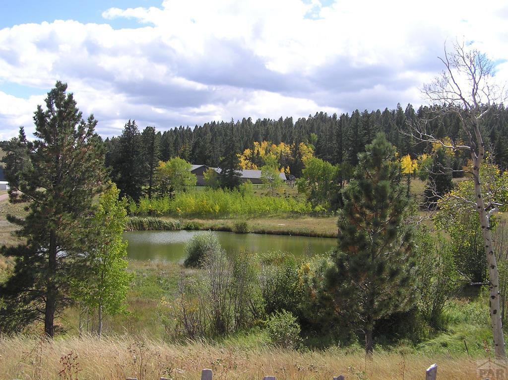 232 Steven Road Canon City, CO 81212 - Photo 1 of 1 Gallery Image 1