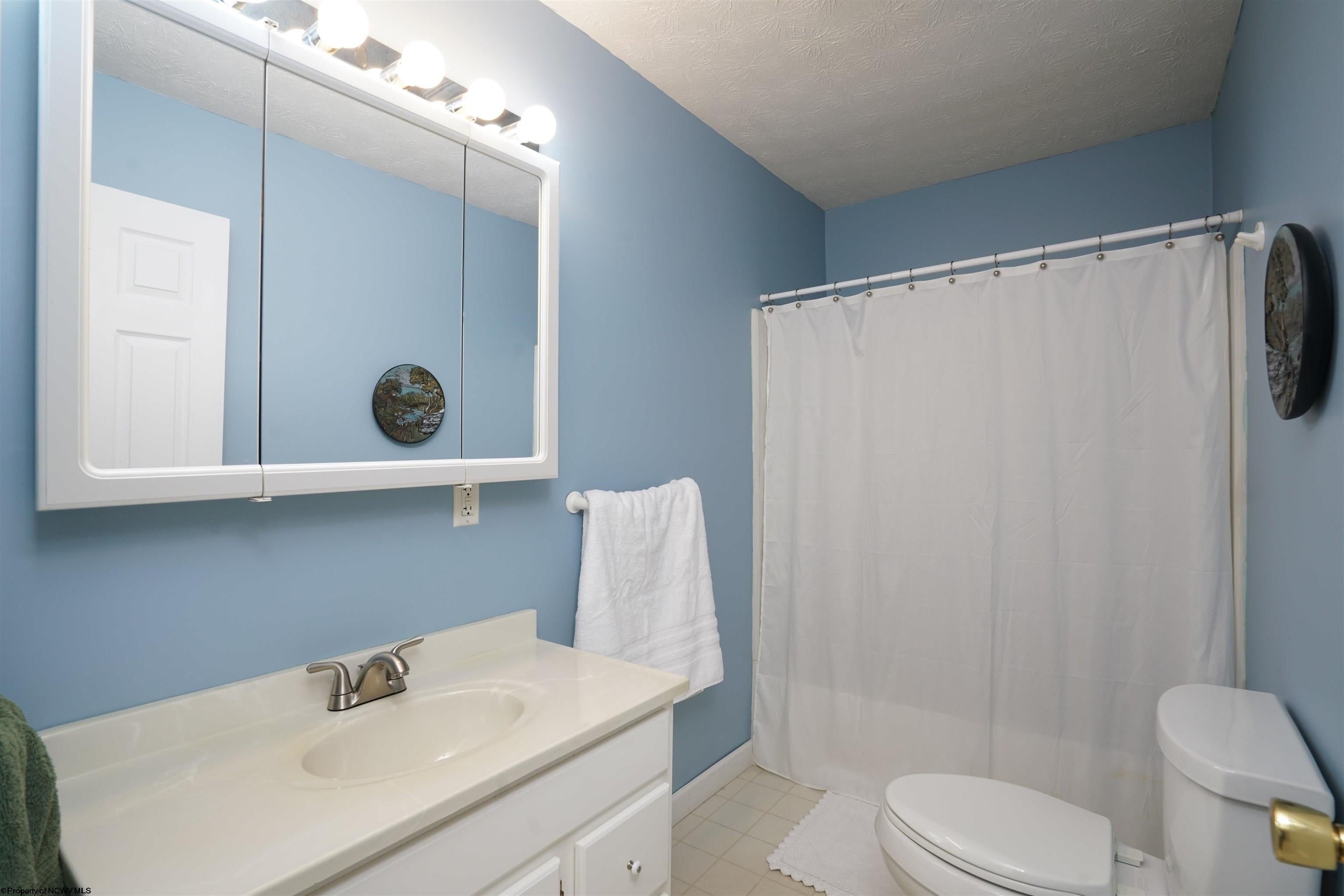 101 Foxmoor Road Belington, WV 26250 - Photo 32 of 42 Gallery Image 32