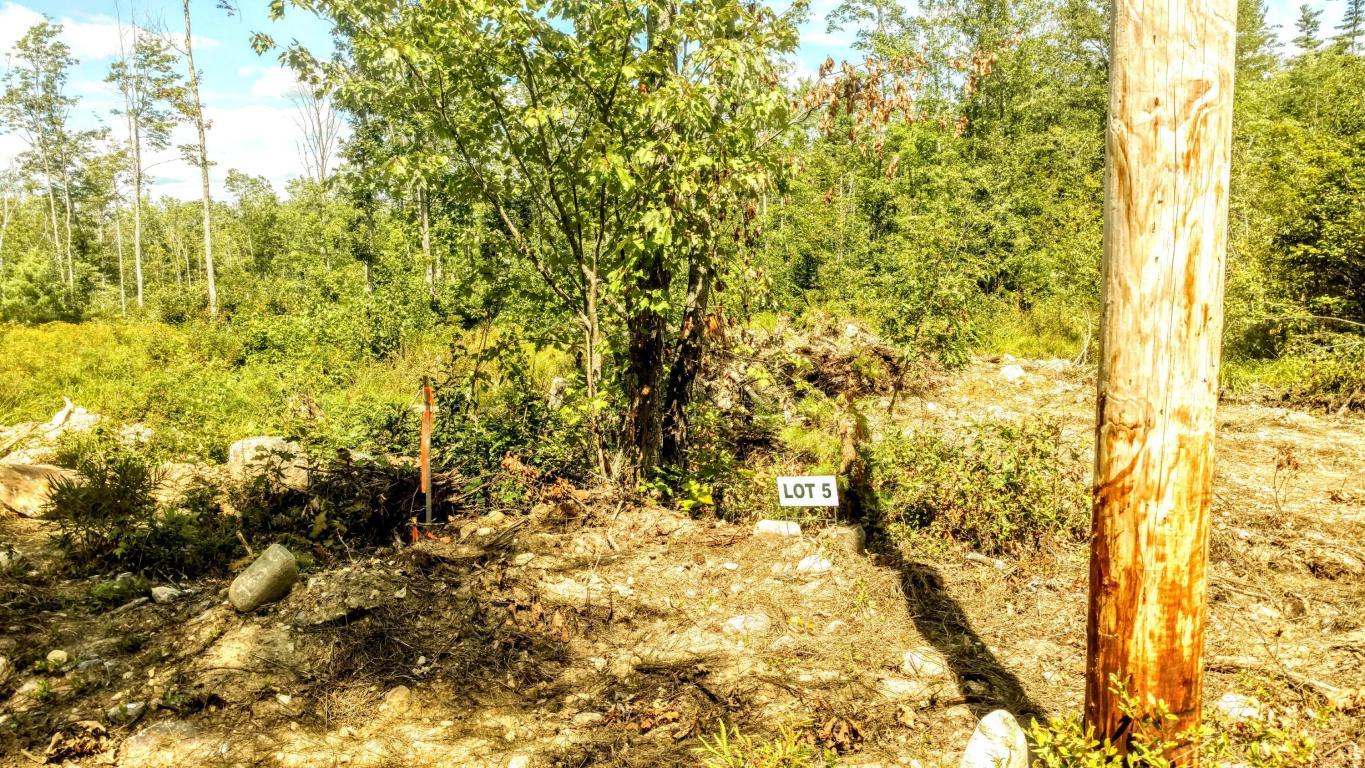 0 Route 218 Road Alna, ME 04535 - Photo 5 of 6 alna 6