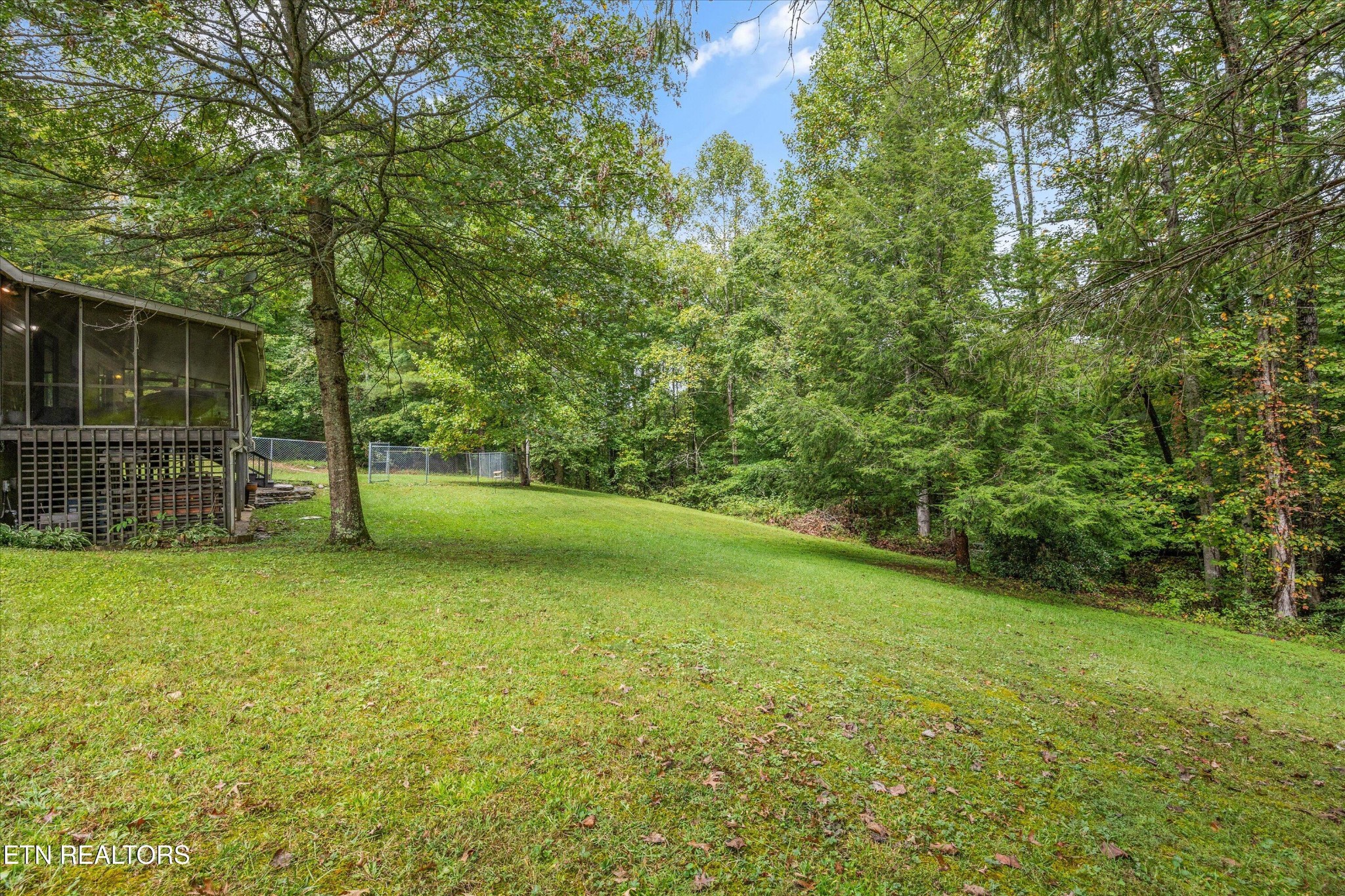 484 HC Smith Drive Oneida, TN 37841 - Photo 31 of 35 a view of a field with a tree