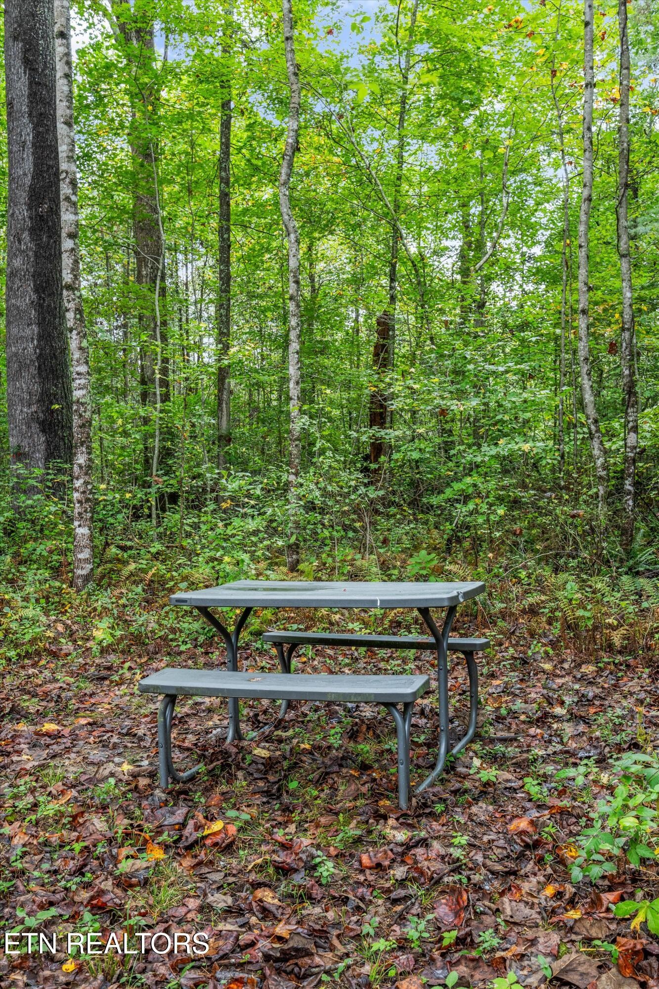484 HC Smith Drive Oneida, TN 37841 - Photo 32 of 35 a view of a backyard with sitting area