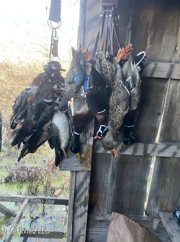 $375,000 | 12 Mississippi, Tchula, MS 39169