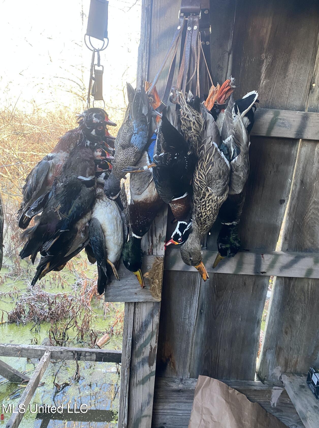 12 Mississippi Tchula, MS 39169 - Photo 11 of 21 Screen Shot 2025-05-02 at 7.23.44 PM