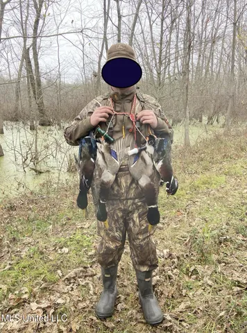 $375,000 | 12 Mississippi, Tchula, MS 39169