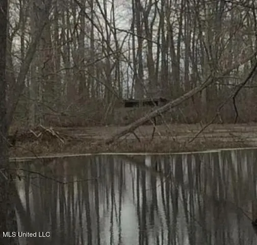 $375,000 | 12 Mississippi, Tchula, MS 39169