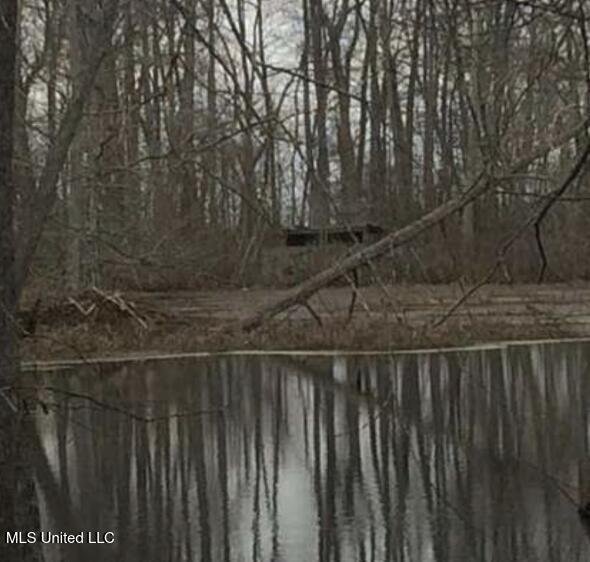 12 Mississippi Tchula, MS 39169 - Photo 16 of 21 Screen Shot 2025-05-02 at 7.12.51 PM