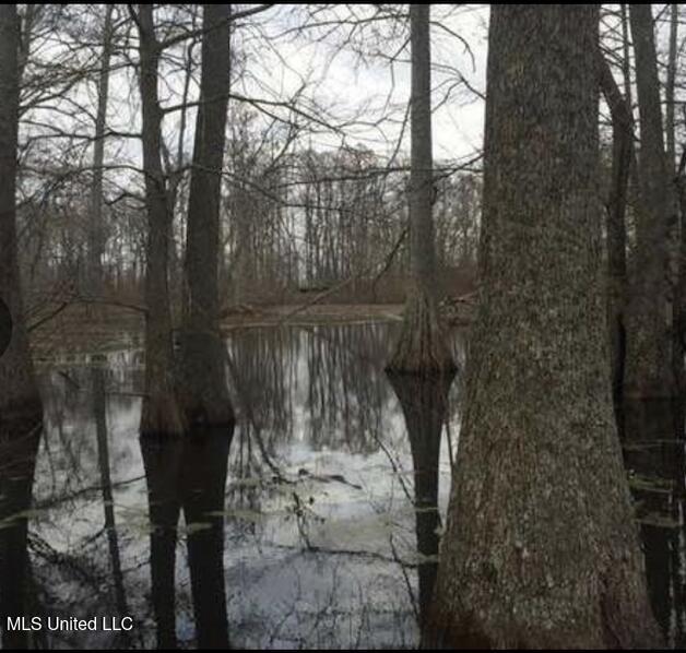 12 Mississippi Tchula, MS 39169 - Photo 17 of 21 Screen Shot 2025-05-02 at 7.11.46 PM