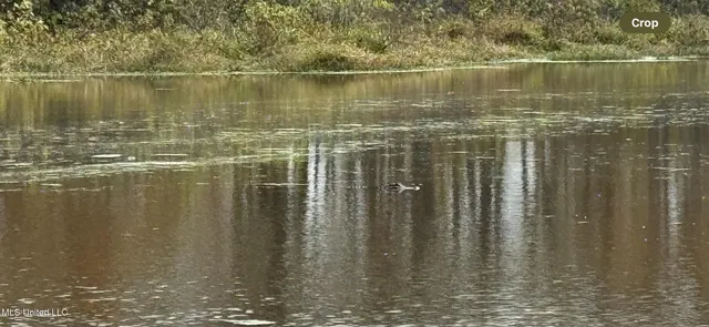 $375,000 | 12 Mississippi, Tchula, MS 39169