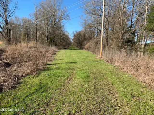 $375,000 | 12 Mississippi, Tchula, MS 39169