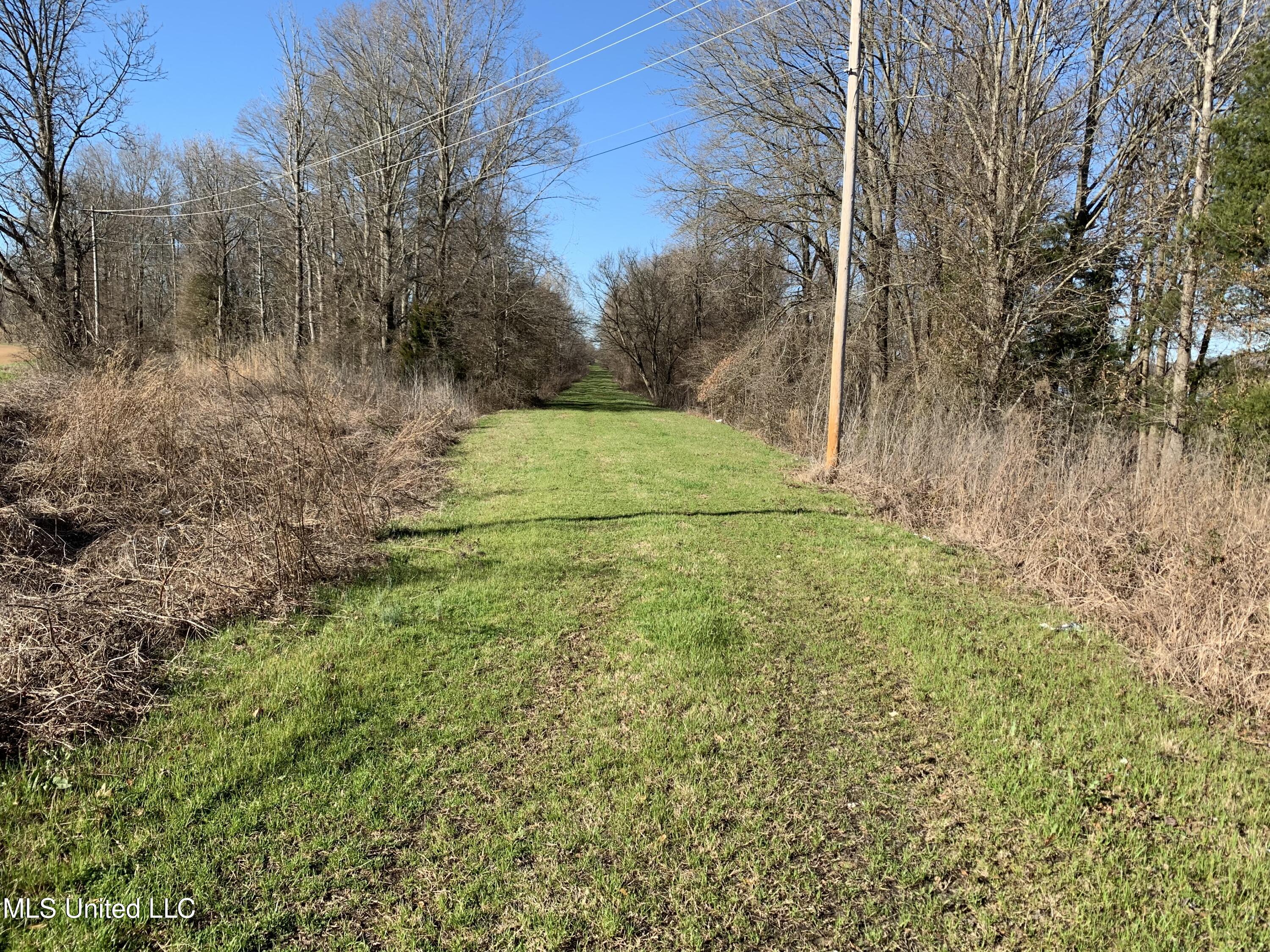 12 Mississippi Tchula, MS 39169 - Photo 19 of 21 IMG_3944