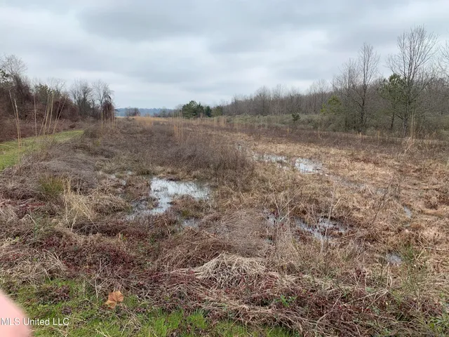 $375,000 | 12 Mississippi, Tchula, MS 39169