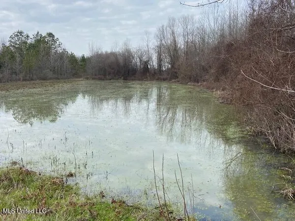 $375,000 | 12 Mississippi, Tchula, MS 39169
