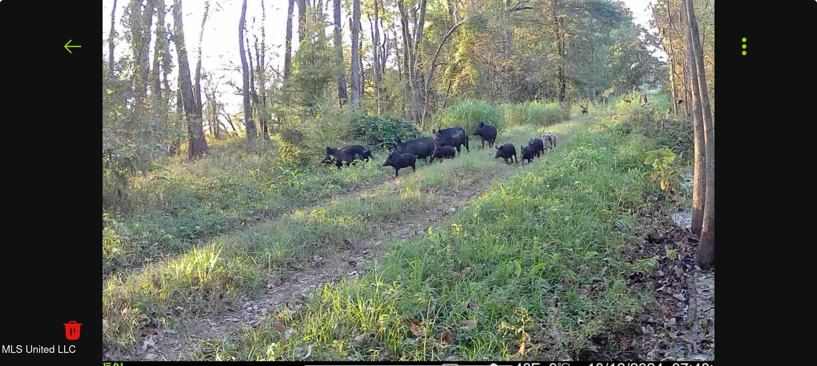 12 Mississippi Tchula, MS 39169 - Photo 6 of 21 0