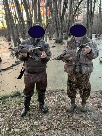 $375,000 | 12 Mississippi, Tchula, MS 39169