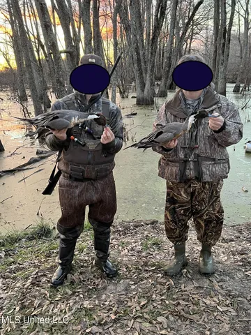 $375,000 | 12 Mississippi, Tchula, MS 39169