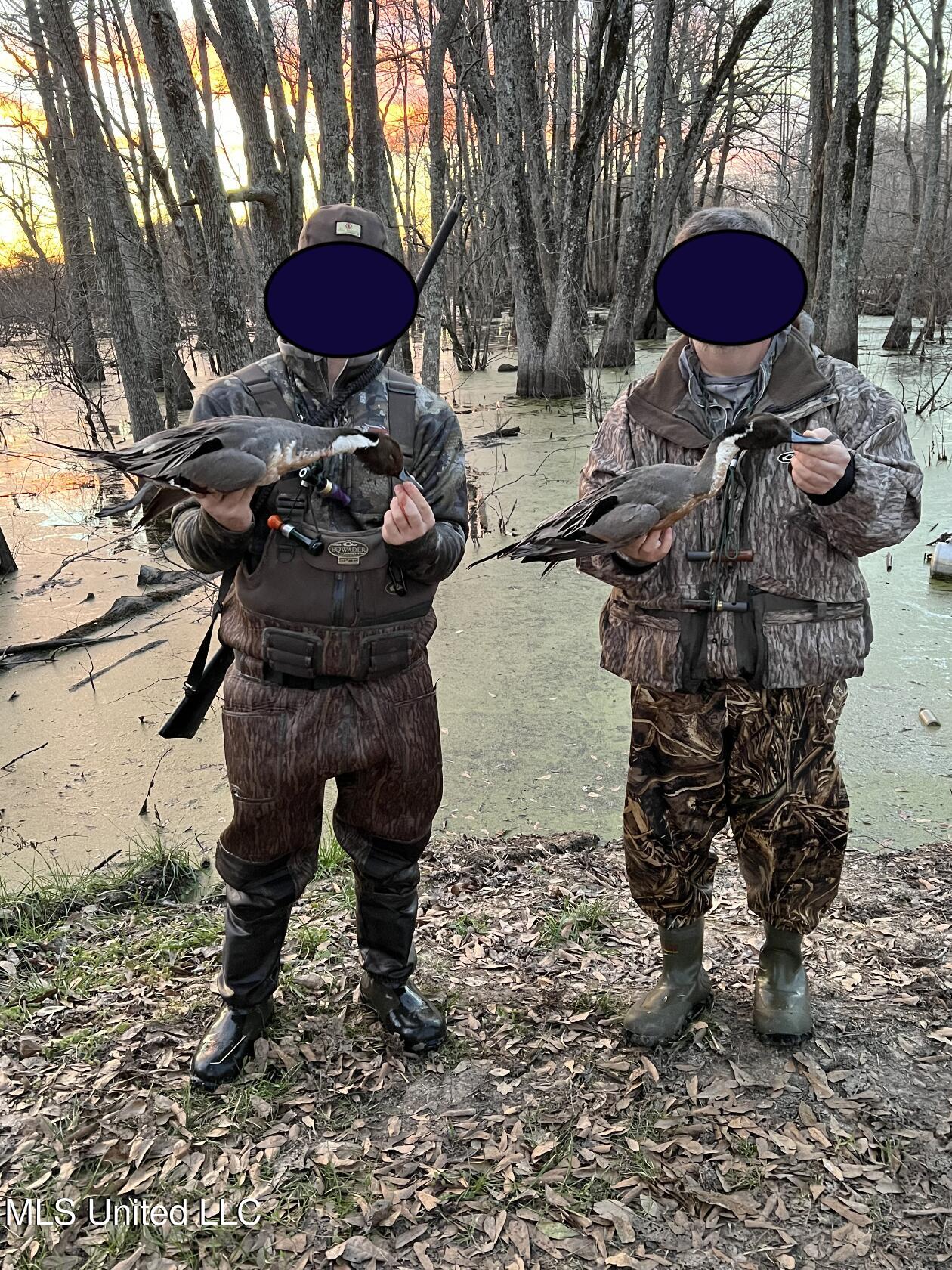 12 Mississippi Tchula, MS 39169 - Photo 8 of 21 Screen Shot 2025-05-02 at 7.25.17 PM