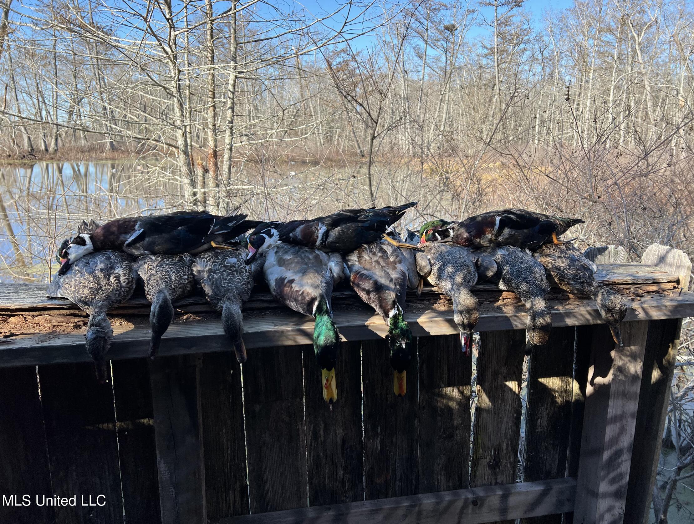 12 Mississippi Tchula, MS 39169 - Photo 9 of 21 Screen Shot 2025-05-02 at 7.25.01 PM