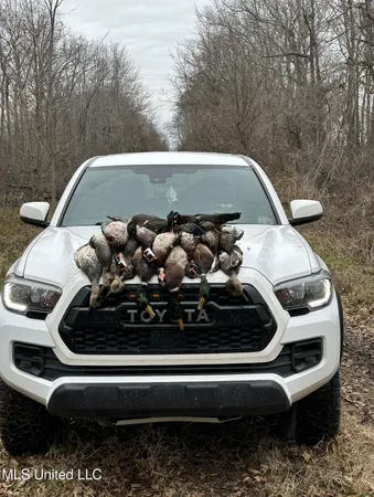 $375,000 | 12 Mississippi, Tchula, MS 39169