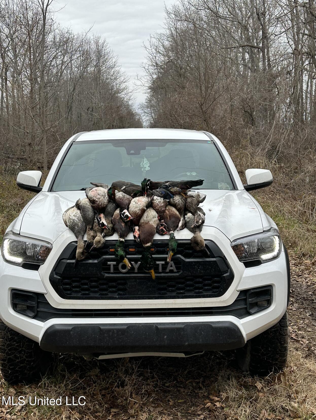 12 Mississippi Tchula, MS 39169 - Photo 10 of 21 Screen Shot 2025-05-02 at 7.24.47 PM