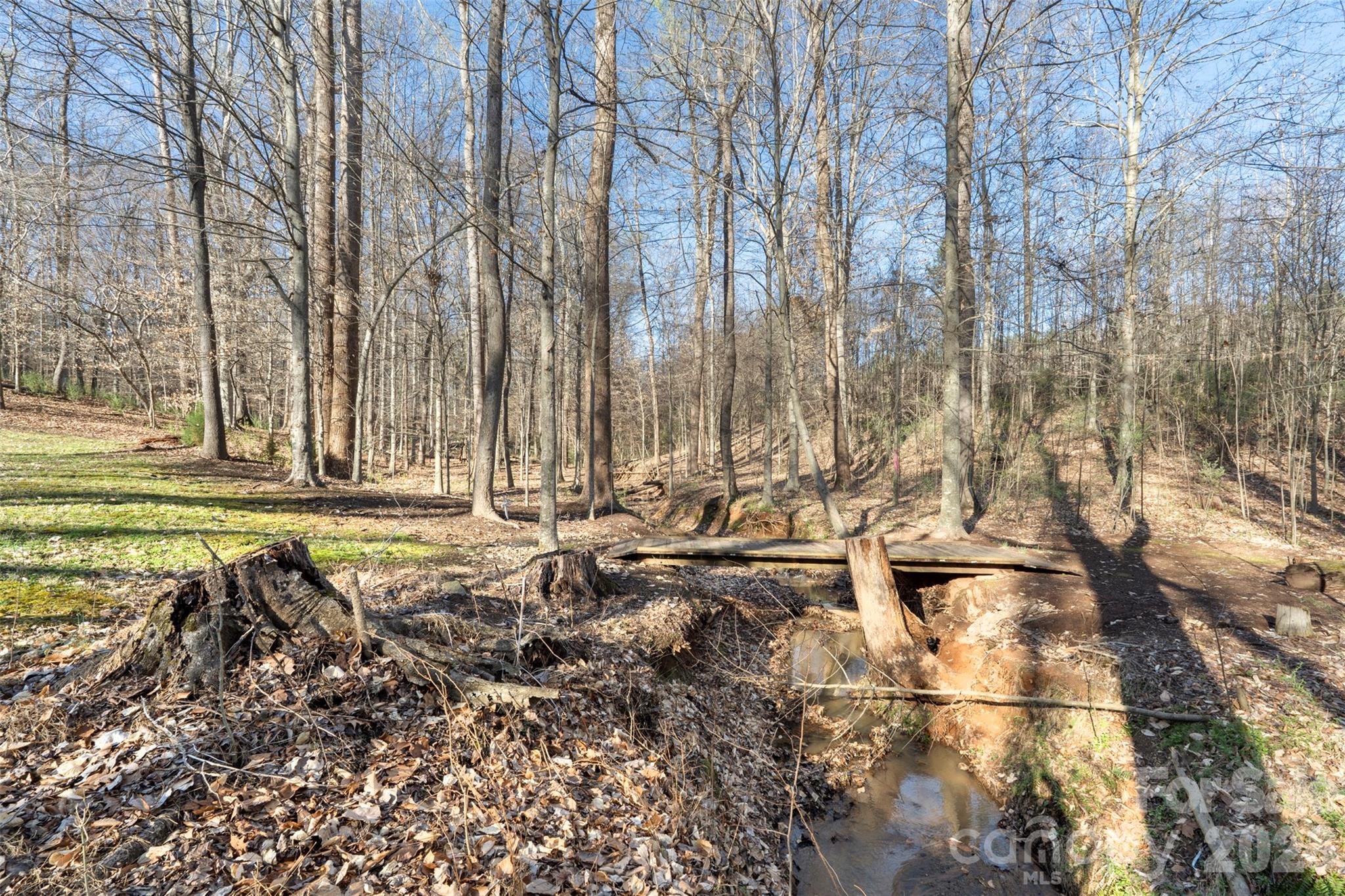 12711 Moores Chapel Road Charlotte, NC 28214 - Photo 11 of 48 a view of yard with large tree