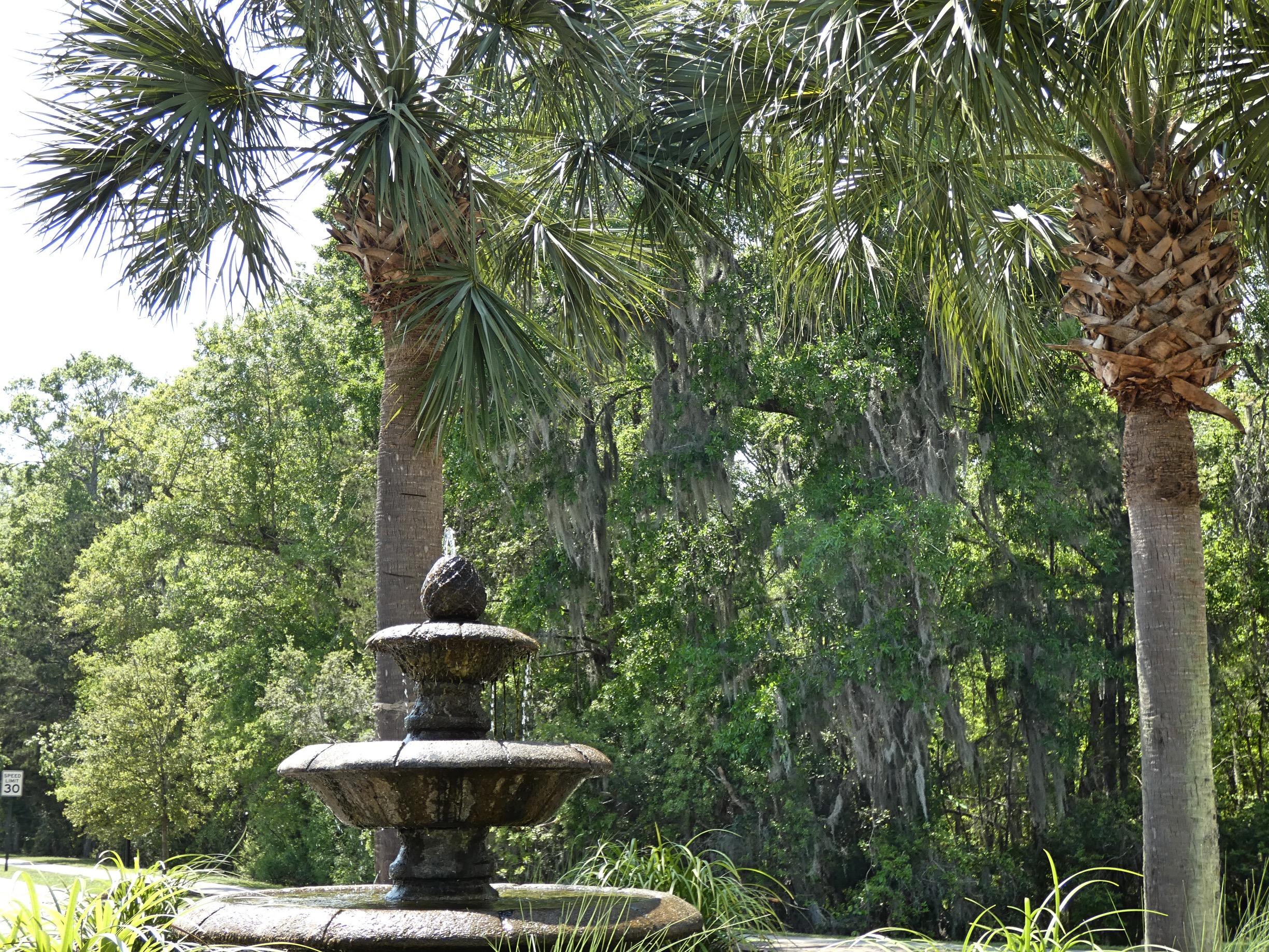 600 Carters Grove Road Charleston, SC 29414 - Photo 36 of 46 Jasmine176