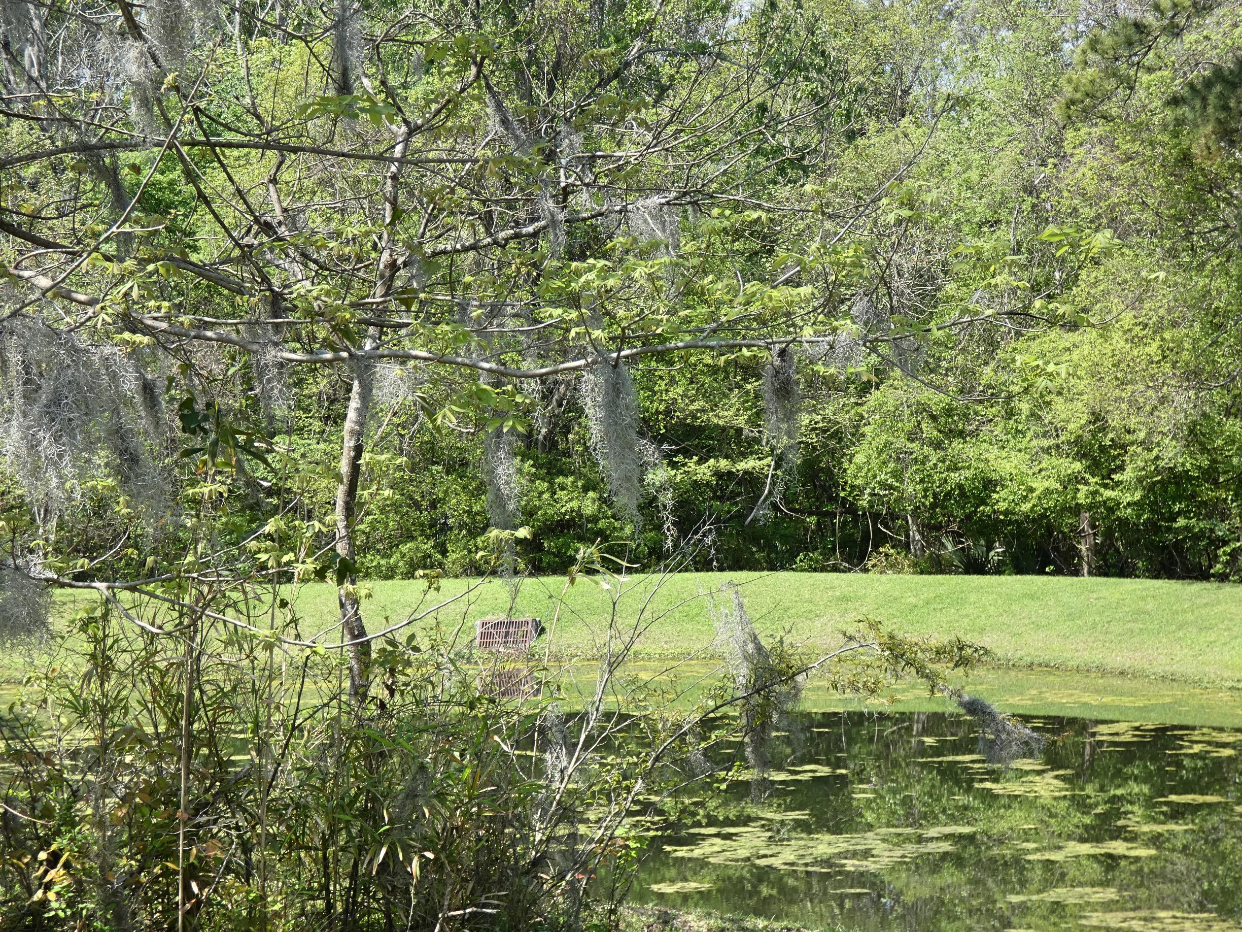 600 Carters Grove Road Charleston, SC 29414 - Photo 45 of 46 Jasmine126